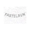 Ballonsæt, Sølv"FASTELAVN" 40 cm