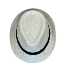 Fedora hat i strå