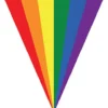 Flagbanner, Regnbue spidsflag