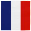 Frankrig flag serviet