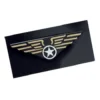 Pilot badge på nål