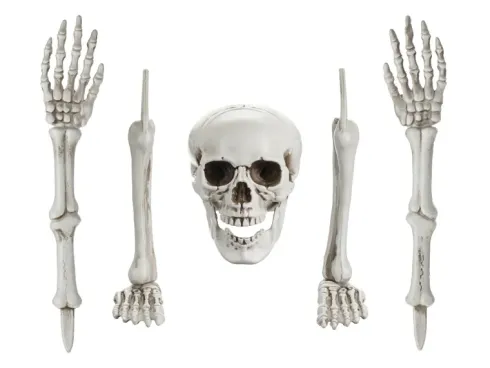 Skelet dekoration 5 dele