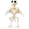 Skelet - Ravn