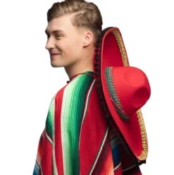Sombrero Diego deluxe