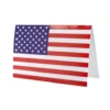 USA karton 10stk