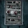 Zombie Vindue cover